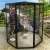 Import Colorful large garden bird metal cage or parrot cage from China