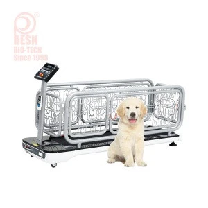 Commercial Electric Pet Treadmill Dog Running Machine Body Building Fitness Equipment For Medium Sized Dog Cheap Price For Sale
