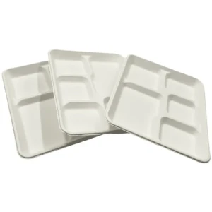 compostable disposable 5 compartament