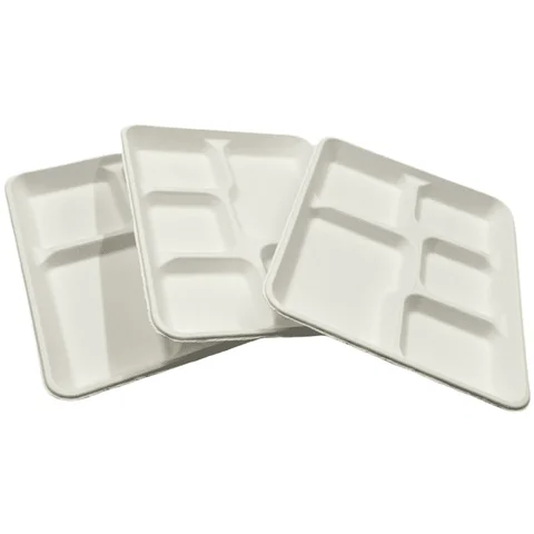 compostable disposable 5 compartament