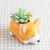 Import Creative Cartoon Dogs Resin Flower Pot Succulent Plant Container Decoration for Home Office Garden from China