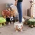 Import Creative Children Small Bench Low Footstools dog velvet ottoman pouf moderne animal stool from China