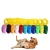 Import Custom Logo 2 in 1 Pet Dog Training Whistle Clicker with Wrist Strap Key Ring from China