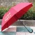 Import Custom Promotion Golf Umbrella/Advertising Straight Promotion Umbrella/Top Quality Customized Cheap Rain Umbrella/ from China
