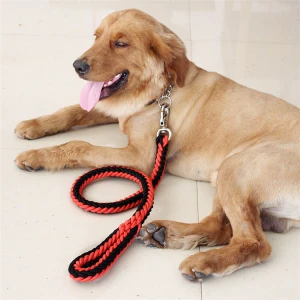 Customized Dog Slip Leash Rope Nylon Dog Running Leash Rope Pet Leash Rope For Dog Walking