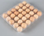 Customized food grade PET porous disposable plastic egg packaging tray
