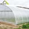 Customized PO Film Covering Material Single Span Greenhouse For Agriculture
