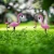 Import decorative energy saving flamingo solar garden light for outdoor park led solar powered pathway light from China