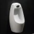 Import Design morden sanitary ware ceramic floor mounted urinals from China