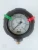 Import Diaphragm double sided PP pressure gauge hot sale from China