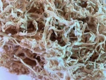 Different From Chinese Dried Radish Dried Daikon Vegetable