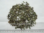 Dried Persimmon leaf Kaki folium Diospyros kaki in Chinese Shi zi ye Shizi for Herbal tea