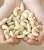 Import Dried style and raw processing kind CASHEW NUT VIETNAM KERNEL from Vietnam