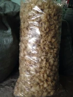 Dry FISH MAWS TOP QUALITY ORIGIN VIETNAM Bulk Piece HACCP