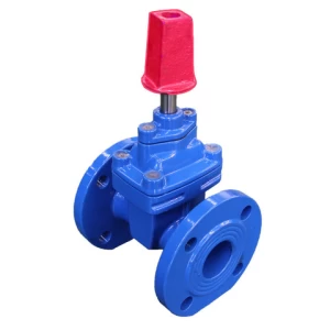 Ductile iron soft seal gate valve with integral rubber coating