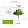 Eco-friendly PVC Material Artificial Lotus Succulent Plants for Hotel Decoration