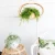 Import Eco-friendly Rattan hanging planter from Vietnam