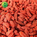 egyptian strawberry dried fruits goji berries