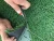 Import Elastic Layer Under Artificial grass different thickness XPE Shock pad for Sport field from China