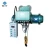 Import Electric Hoist Capacity 5 Ton from China