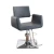 Import European-style rotatable beauty hair salon chair hairdressing furniture from China
