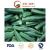 Import Export Quality IQF Frozen Okra Cut and Frozen Vegetables from China