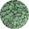 Factory Price Bulk Wholesale Frozen Fresh Green Broad Beans