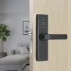 Fashion Fingerprint electric panel lock door with keys locks keys security key ttlock smart Smart Door Handle Lock