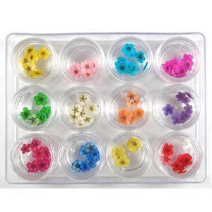 Fashion New 12 Colors Decoration Dry Flower Nail Art For Nail