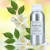 Import France Rose Hotel Aroma Oil Nature Fragrance Oil Branded Perfume Oil for Commercial Scent Diffuser from China