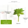 FREE SAMPLE Eco-friendly Mini Simulated Succulent Plants Unpotted Artificial Lotus Plants