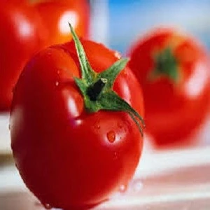 Fresh Bangladeshi Tomato