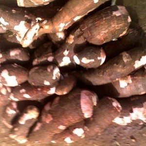 Fresh Fresh Cassava