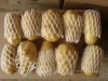 Fresh Potatoes Price for wholesale