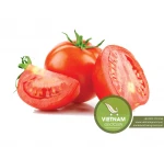 Fresh Tomato Good Price