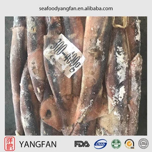 Frozen good quality argentina illex squid with whole round 100-150,150-200,200-300,300-400,400-600