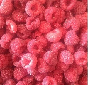 Frozen IQF Raspberry Whole New Crop Frozen Raspberry Fruit
