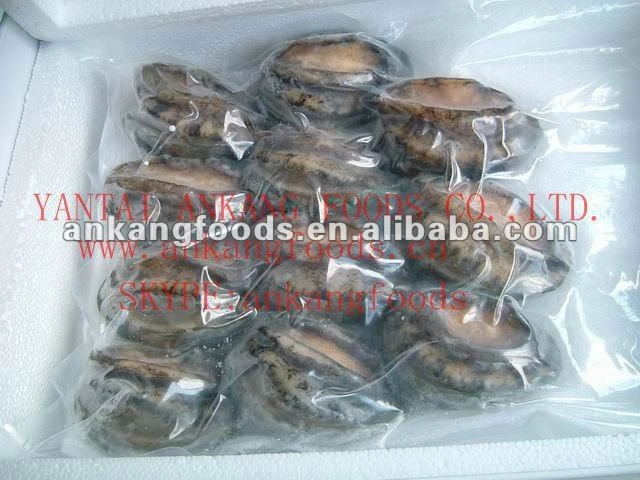 Frozen seafood product Abalone