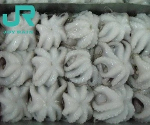 frozen whole boiled baby octopus flower shape frozen whole cleaned baby octopus