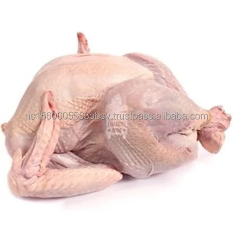 Frozen whole chicken exporters for online sellers Top frozen whole chicken brands