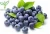 fruit extract 100% pure natural acai berry powder