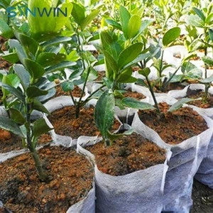 Garden Recycled Non Woven Plant Pot Cover Wholesale Growing Non Woven Agriculture Nursery Plant Pot