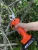 Import garden scissors hedge shears/ electric tree pruner from China