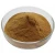 Import GINGER P.E./Zingiber officinale root powder/Ginger Extract Powder from China