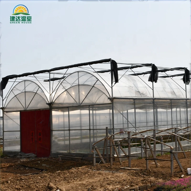 Glass Plastic Film Poly Commercial Nursery Green House with Shading Screen
