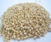 Good quality price of grain white sorghum for sale