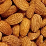 Good quality raw apricot kernels