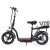Import Green Powered popular 14 inch electric scooter dual motor from China