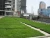 Import Green Roof Modular Green Roof SOL Rooftop Modular Planters Plant Pot Trays For Decor from China