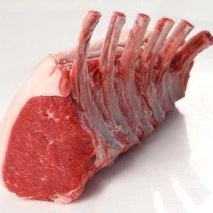 Halal Frozen Meat/Boneless Beef